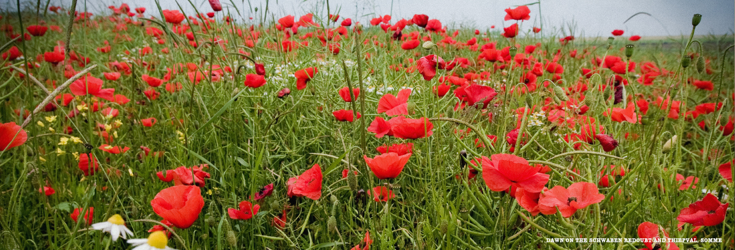 Somme Poppies, France